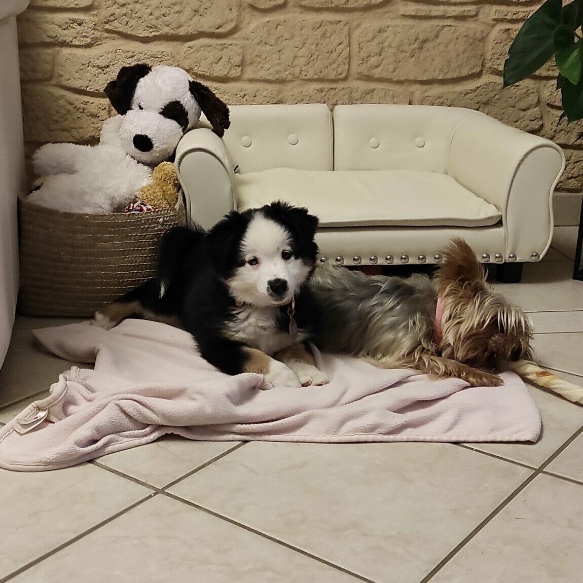 Le journal de Lola et Gwendy